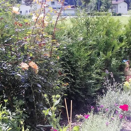 Daire Christine Längenfeld